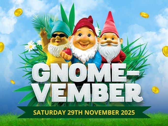 HBBC Gnome vember SWIFT POS