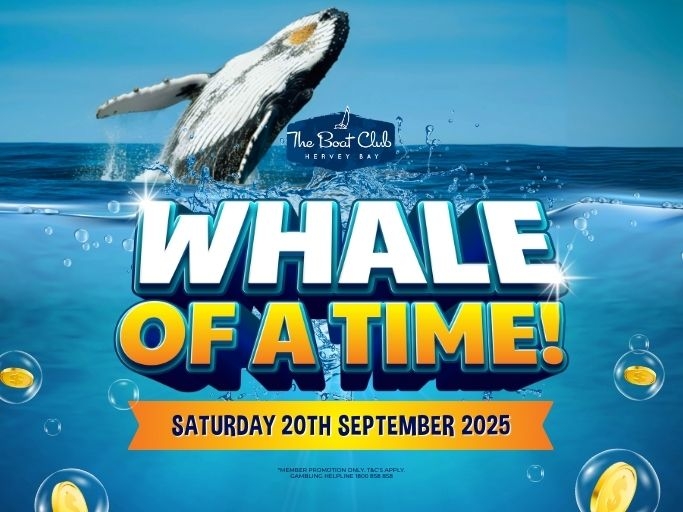 HBBC Whale of a Time POS