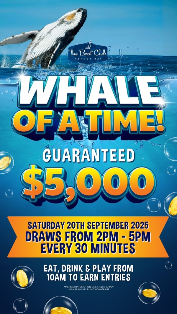 HBBC Whale of a Time TV POR