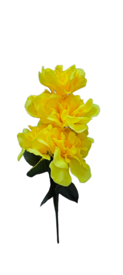 yellow flower no bACKGROUND