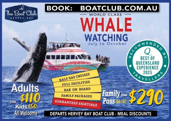 WHALE CRUISES JULY 2025 web